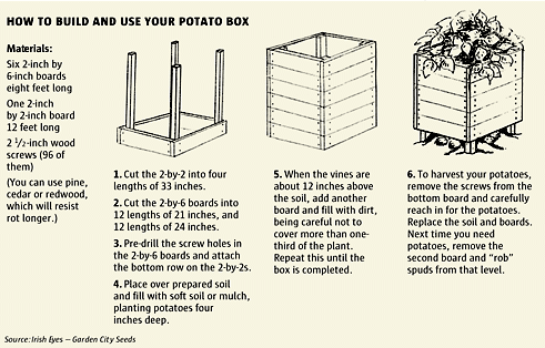 Comment construire et utiliser votre potato box