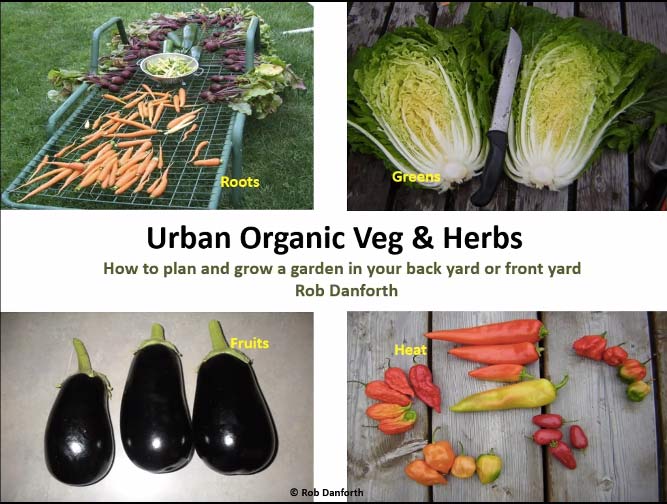 urban organic vegetables herbs video workshop